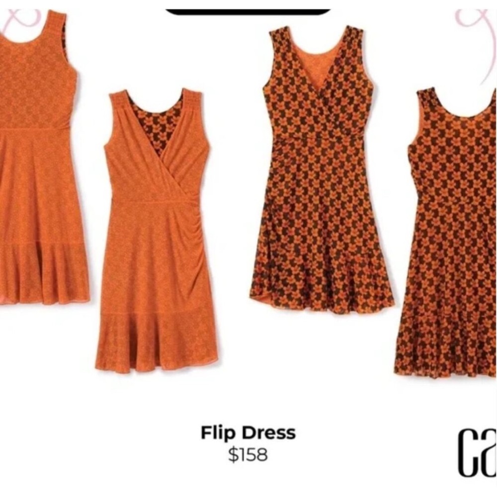 Cabi Spring ‘23 Mesh Playday Flip Dress 6370 Medium Floral Reversible New Fall